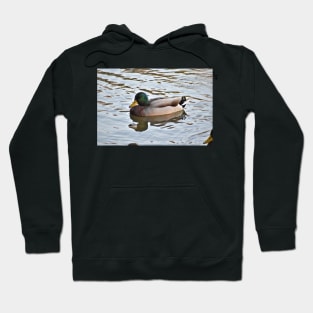 Father Duck Hoodie